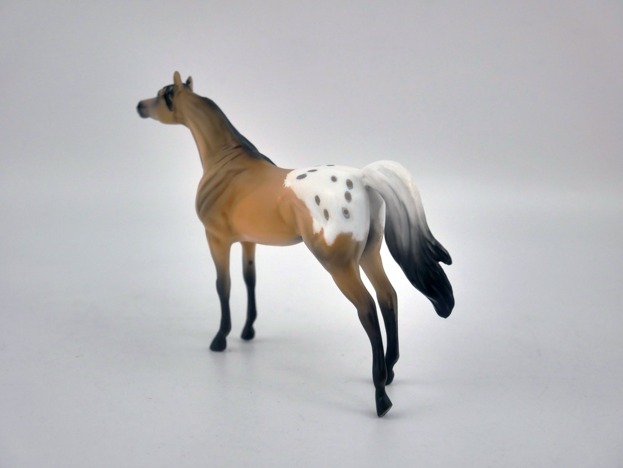 NUTHATCH-OOAK BUCKSKIN APPALOOSA CHIP BY KAYLA