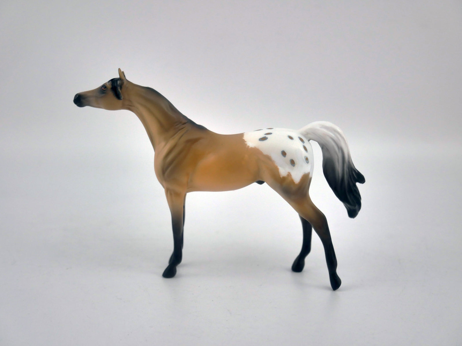 NUTHATCH-OOAK BUCKSKIN APPALOOSA CHIP BY KAYLA