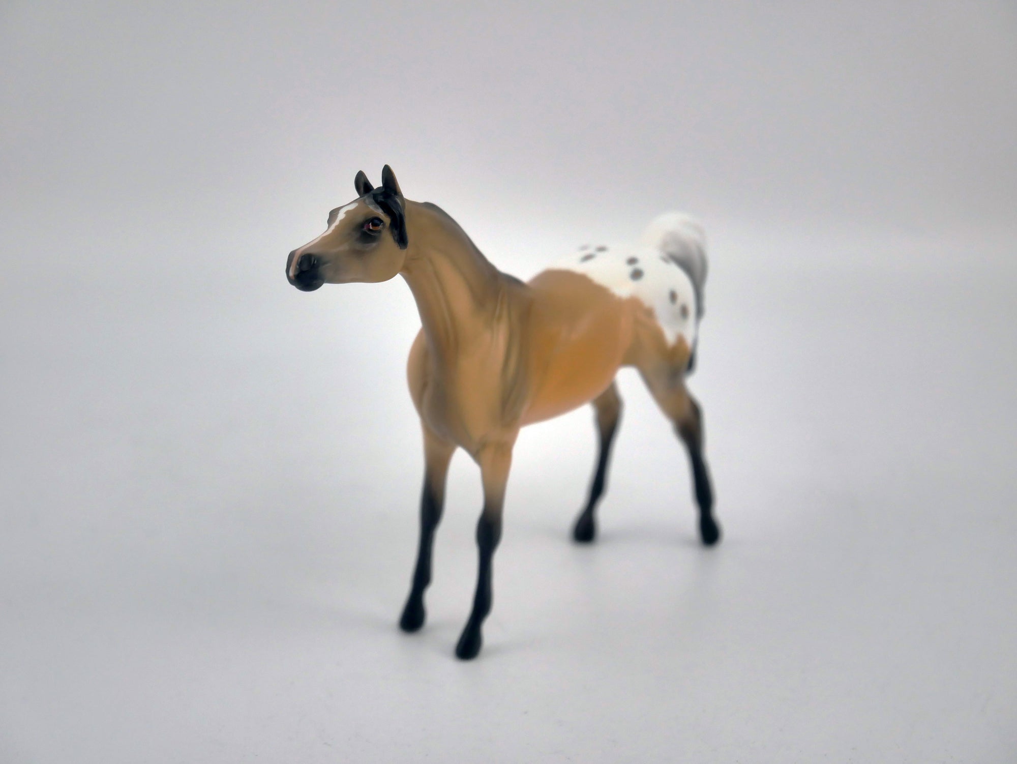 NUTHATCH-OOAK BUCKSKIN APPALOOSA CHIP BY KAYLA