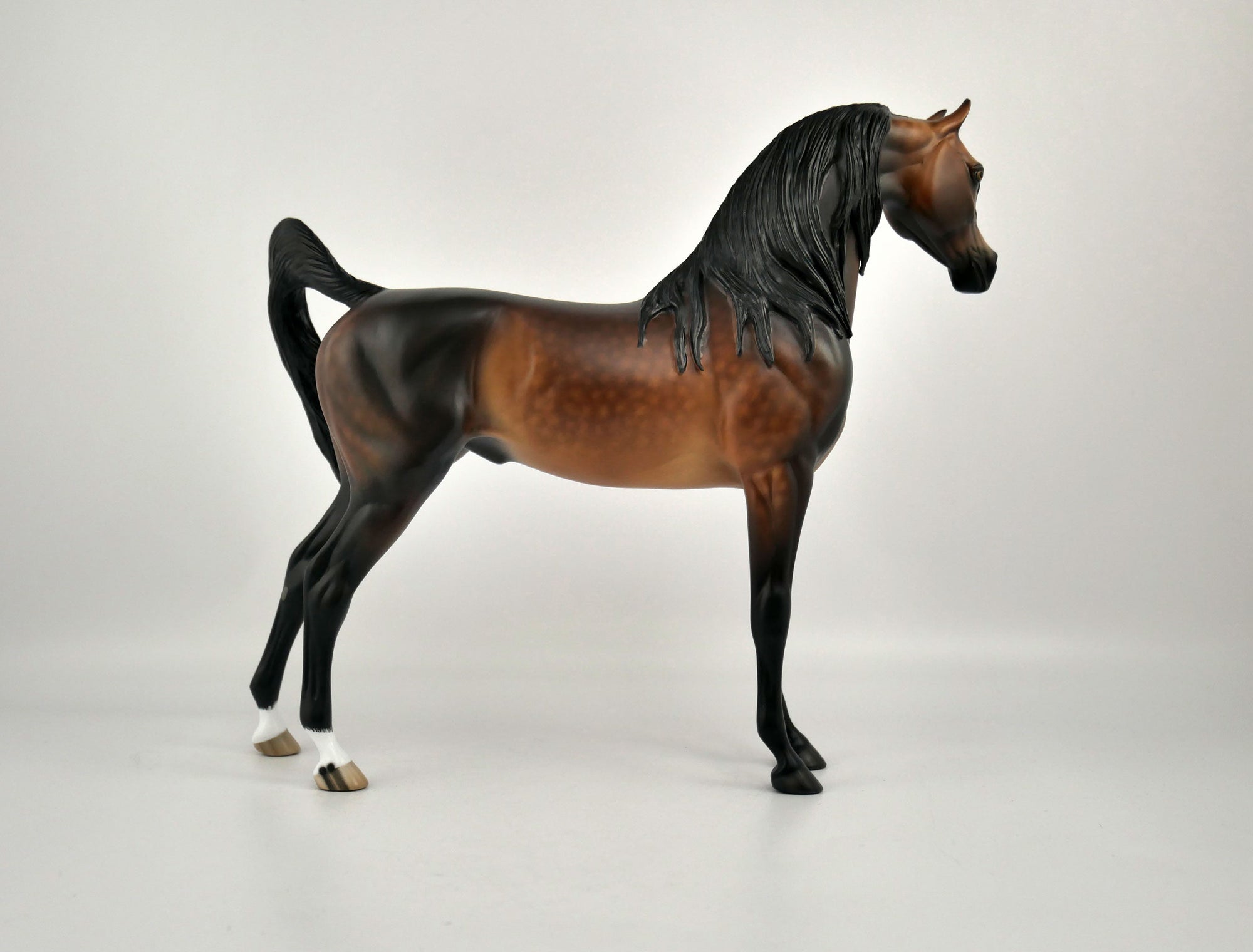 OBERON -OOAK DAPPLE BAY ARABIAN BY SHERYL LEISURE 12/03/20