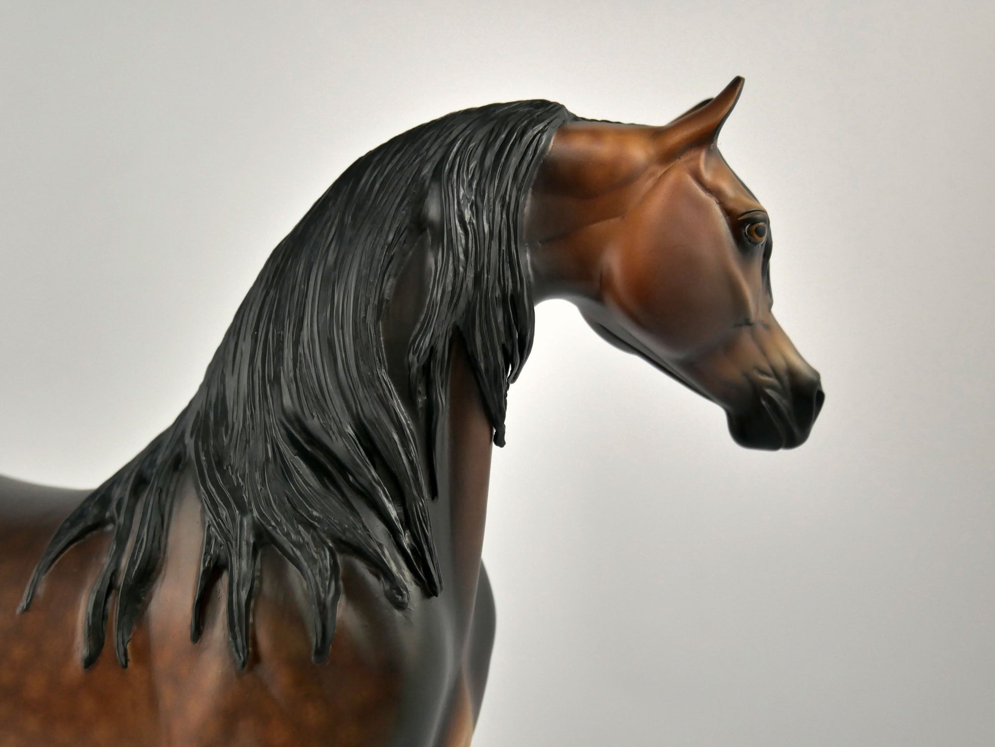 OBERON -OOAK DAPPLE BAY ARABIAN BY SHERYL LEISURE 12/03/20