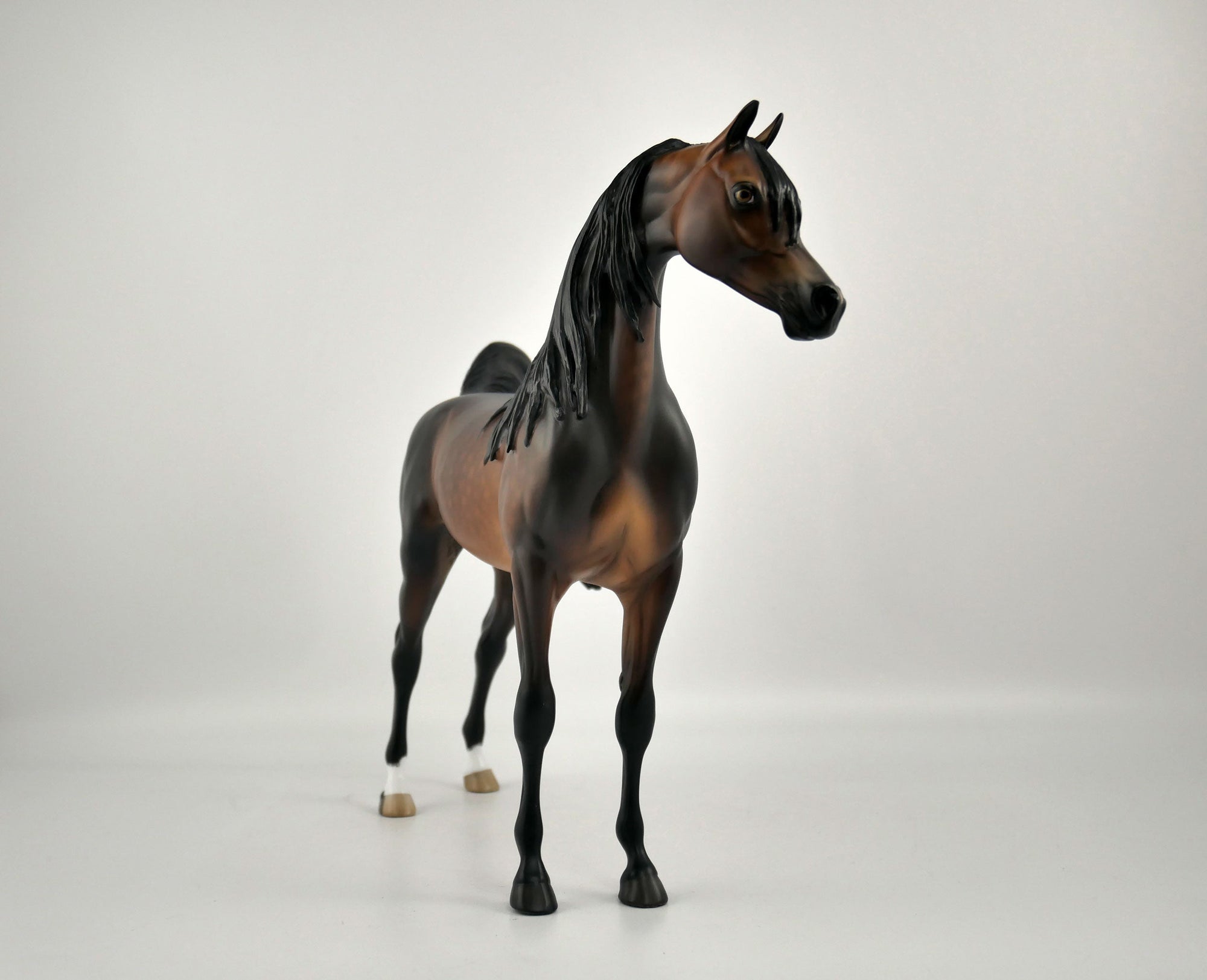 OBERON -OOAK DAPPLE BAY ARABIAN BY SHERYL LEISURE 12/03/20