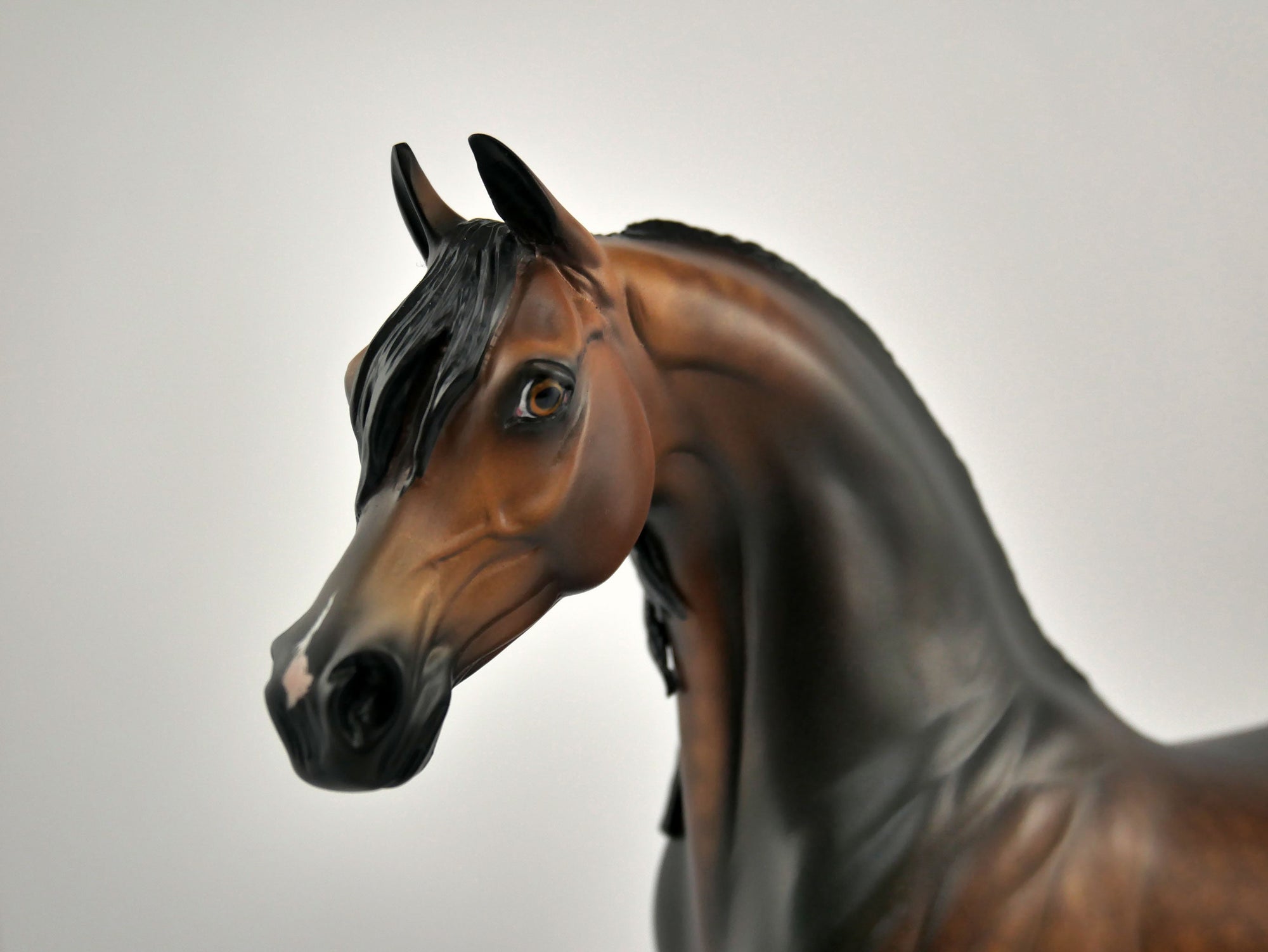 OBERON -OOAK DAPPLE BAY ARABIAN BY SHERYL LEISURE 12/03/20