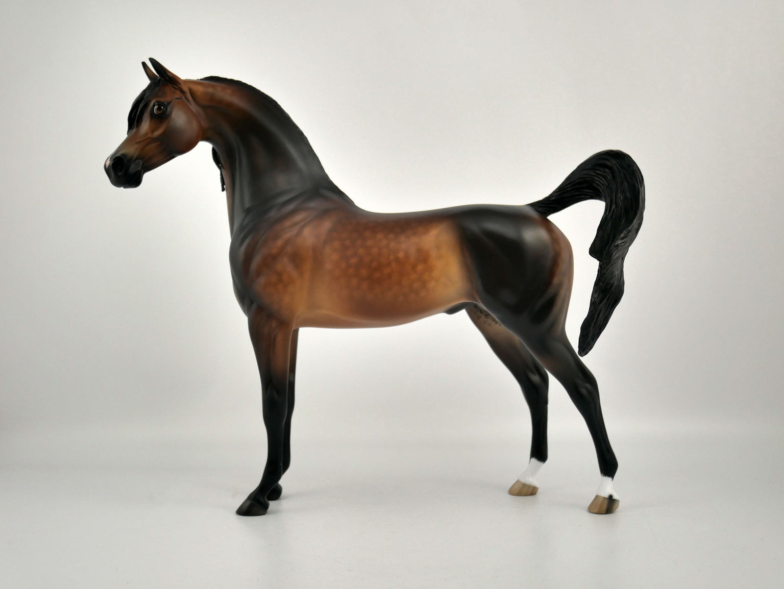 OBERON -OOAK DAPPLE BAY ARABIAN BY SHERYL LEISURE 12/03/20