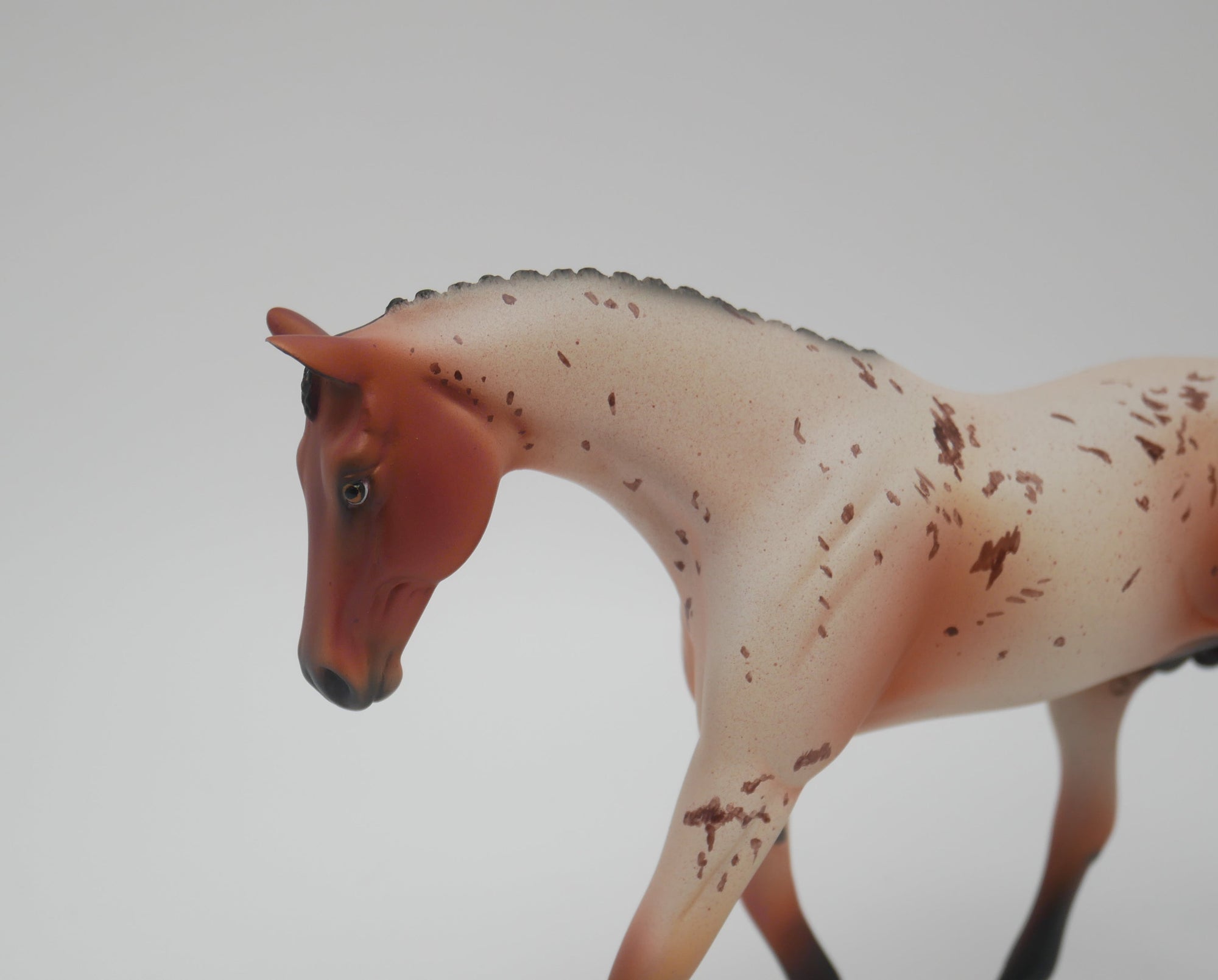 OH YEH-OOAK BAY ROAN PEBBLES WARMBLOOD MODEL HORSE 3/13/20