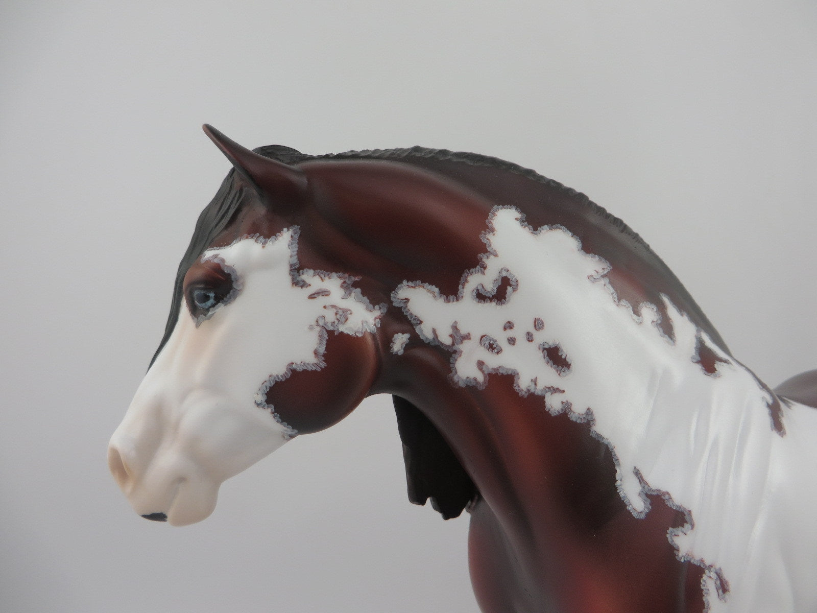 Olympia-OOAK Bay Pinto Heavy Draft Mare EQ 2020