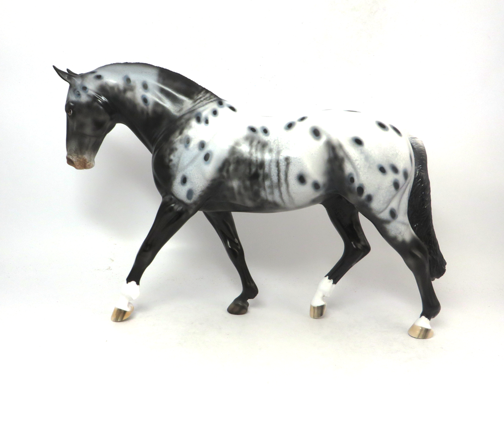STONECLAD- OOAK- BLACK APPALOOSA IRISH DRAFT BY DAWN QUICK SB19
