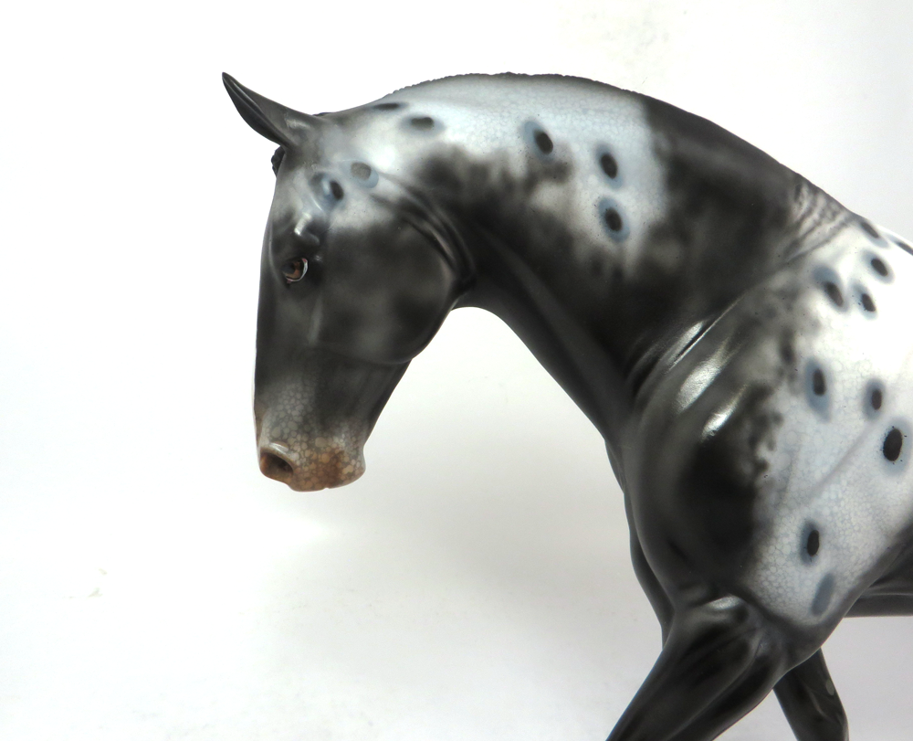 STONECLAD- OOAK- BLACK APPALOOSA IRISH DRAFT BY DAWN QUICK SB19