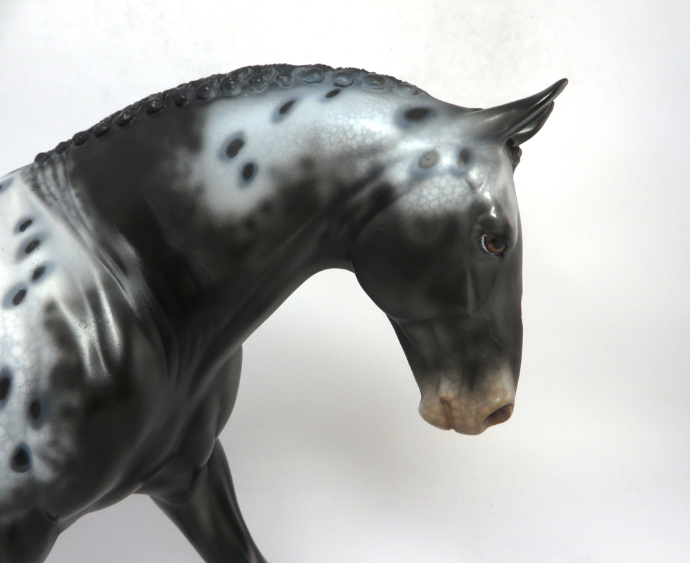 STONECLAD- OOAK- BLACK APPALOOSA IRISH DRAFT BY DAWN QUICK SB19