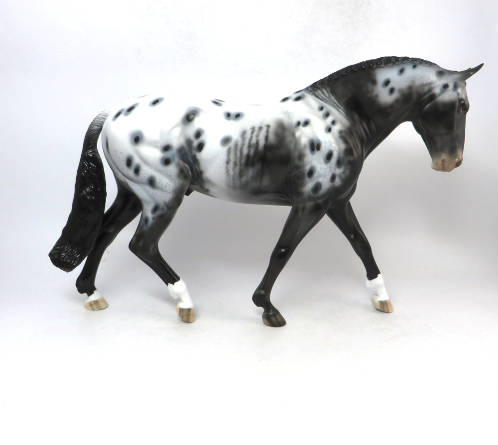 STONECLAD- OOAK- BLACK APPALOOSA IRISH DRAFT BY DAWN QUICK SB19