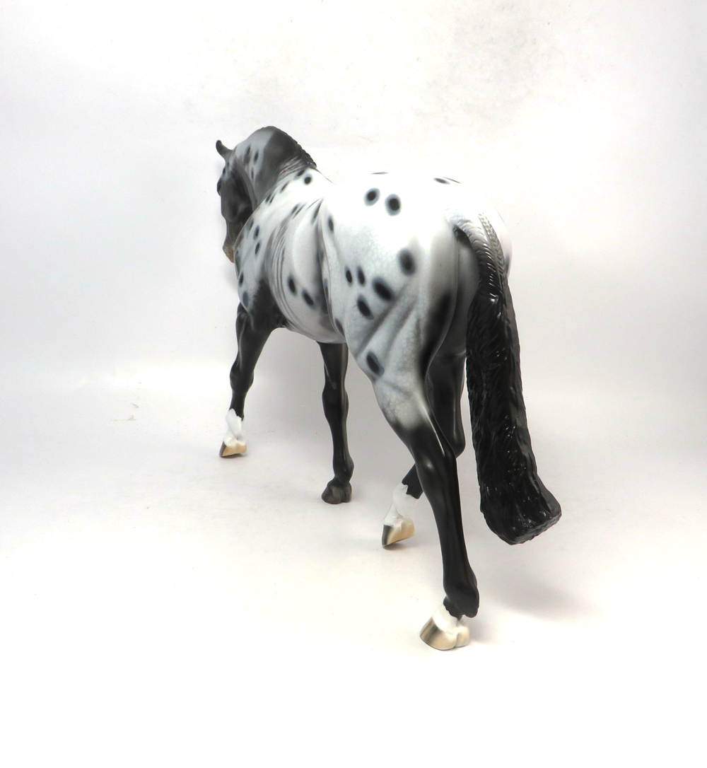 STONECLAD- OOAK- BLACK APPALOOSA IRISH DRAFT BY DAWN QUICK SB19