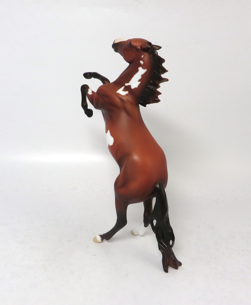 BACKFIELD- OOAK BAY OVERO REARING PEBBLE BY AMANDA HOSTELER SB19