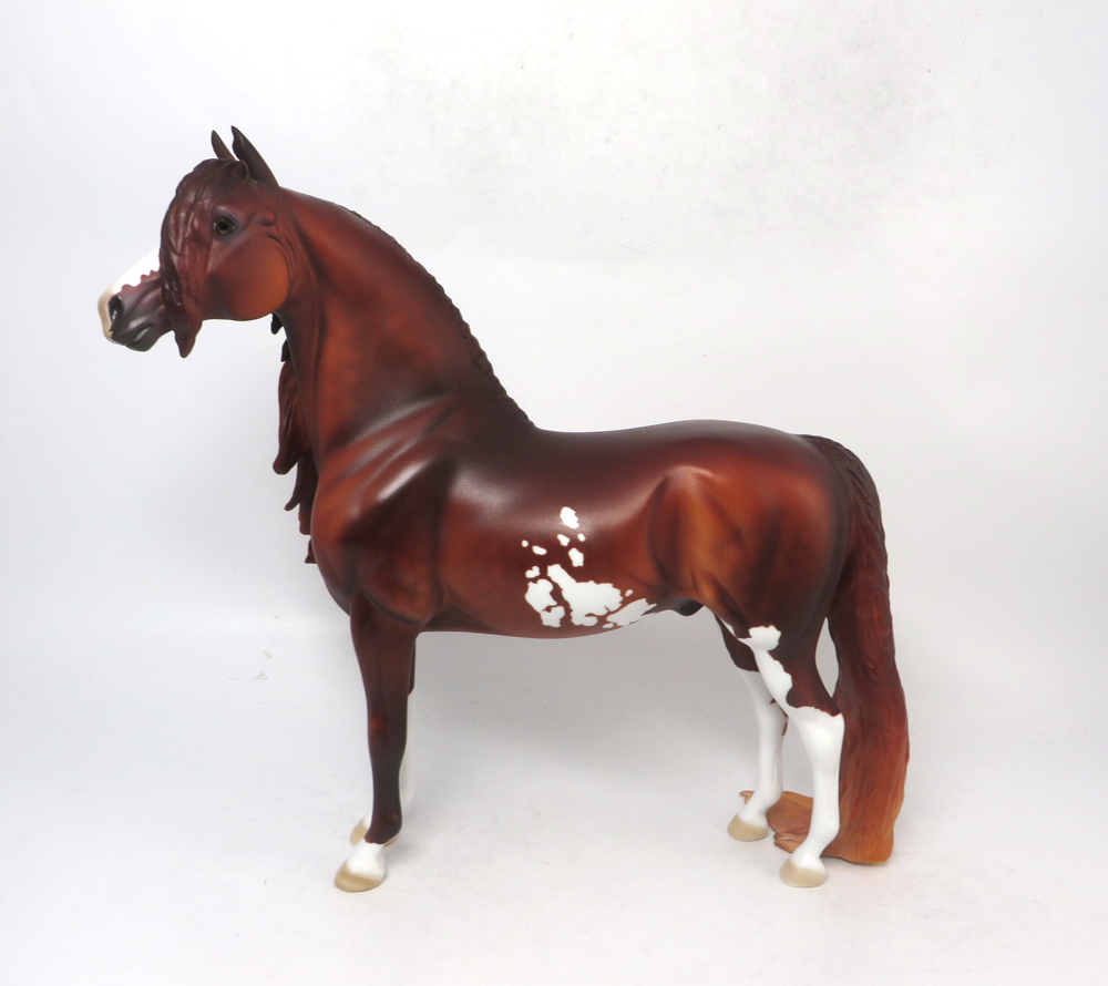 TIMEOUT- OOAK DAPPLED CHESTNUT MORGAN BY DAWN QUICK SB19