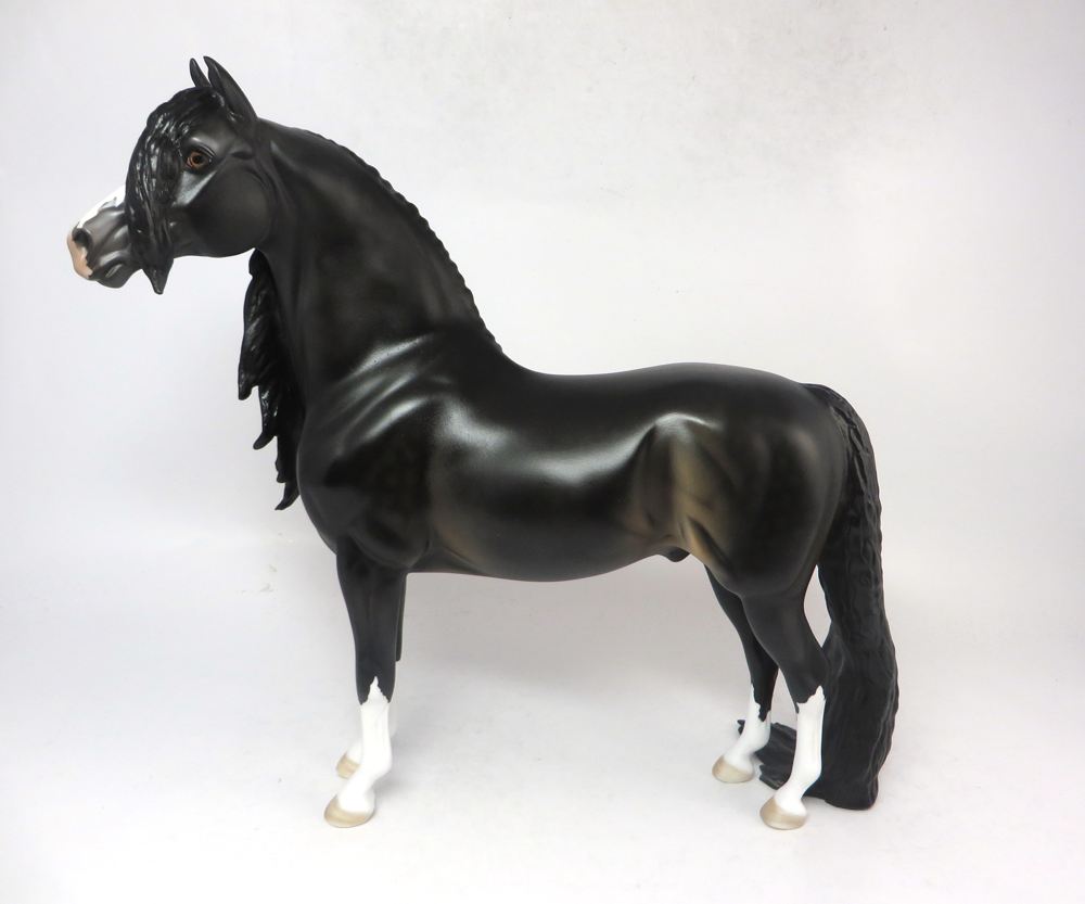 EASY WIN- OOAK- SEAL BROWN MORGAN BY DAWN QUICK SB19