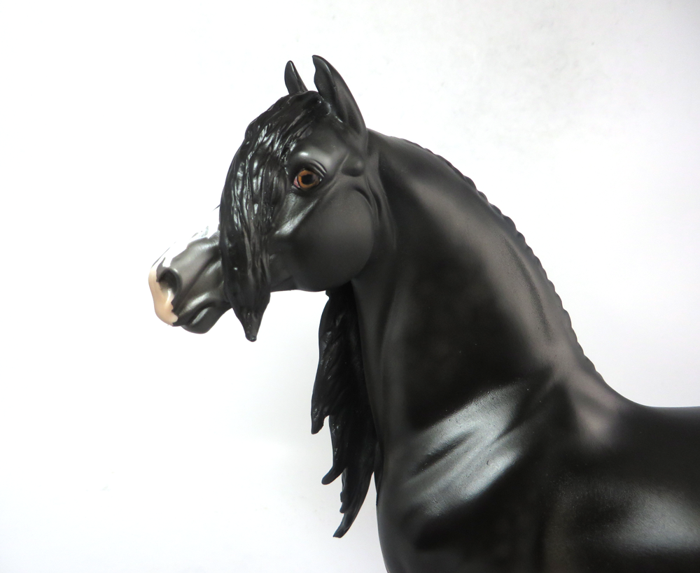 EASY WIN- OOAK- SEAL BROWN MORGAN BY DAWN QUICK SB19