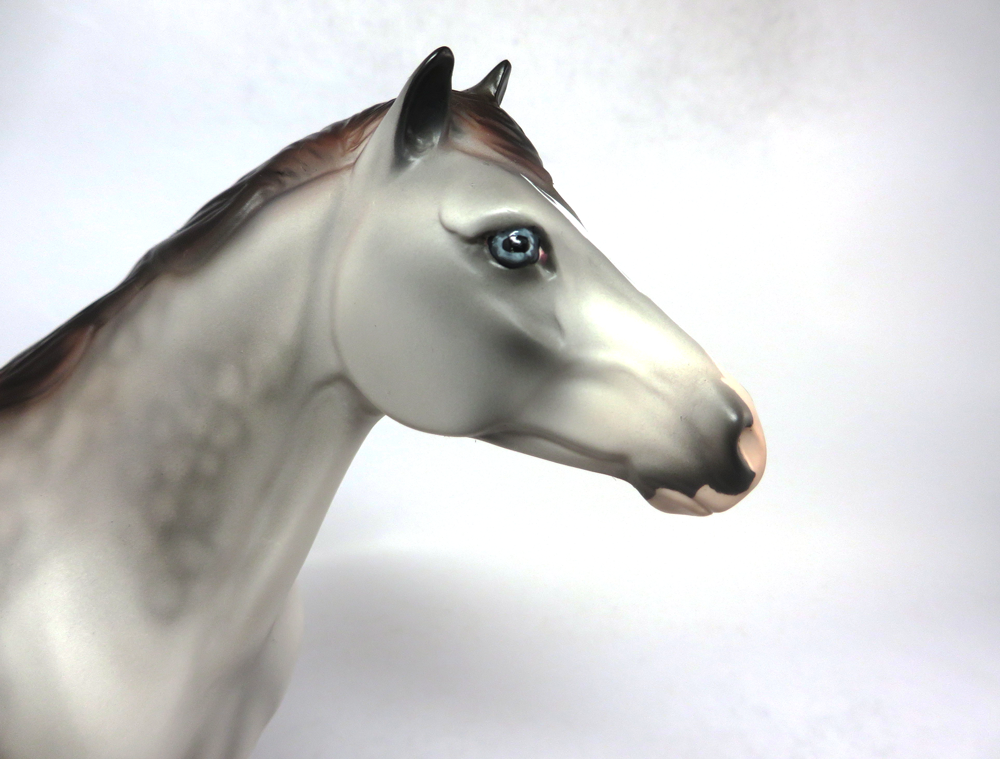 SUDDEN IMPACT-OOAK-ROSE GREY OVERO SPANISH MUSTANG BY AUDREY DIXON SB19