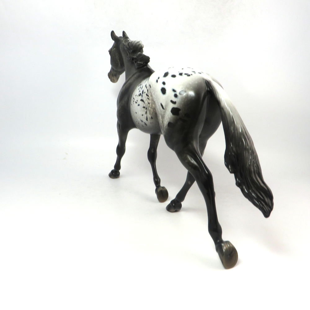 ONE NIGHT ONLY-OOAK- BLACK APPALOOSA PALOUSE BY AUDREY DIXON SB19