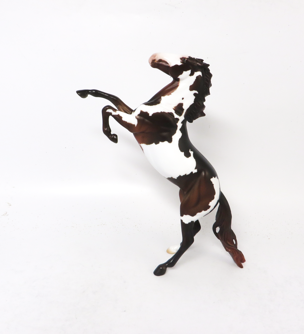 OFFSIDE - OOAK SEAL BAY OVERO REARING PEBBLE BY AMANDA HOSTELER SB19