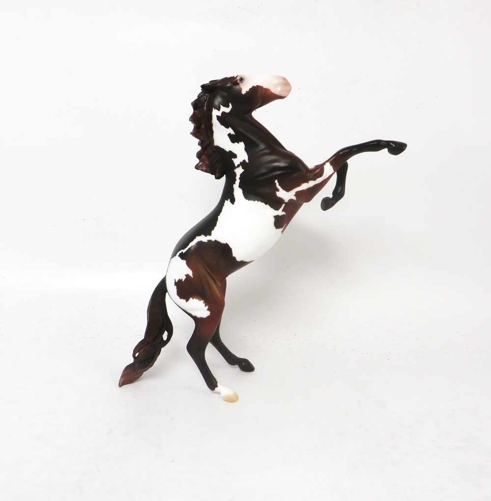 OFFSIDE - OOAK SEAL BAY OVERO REARING PEBBLE BY AMANDA HOSTELER SB19