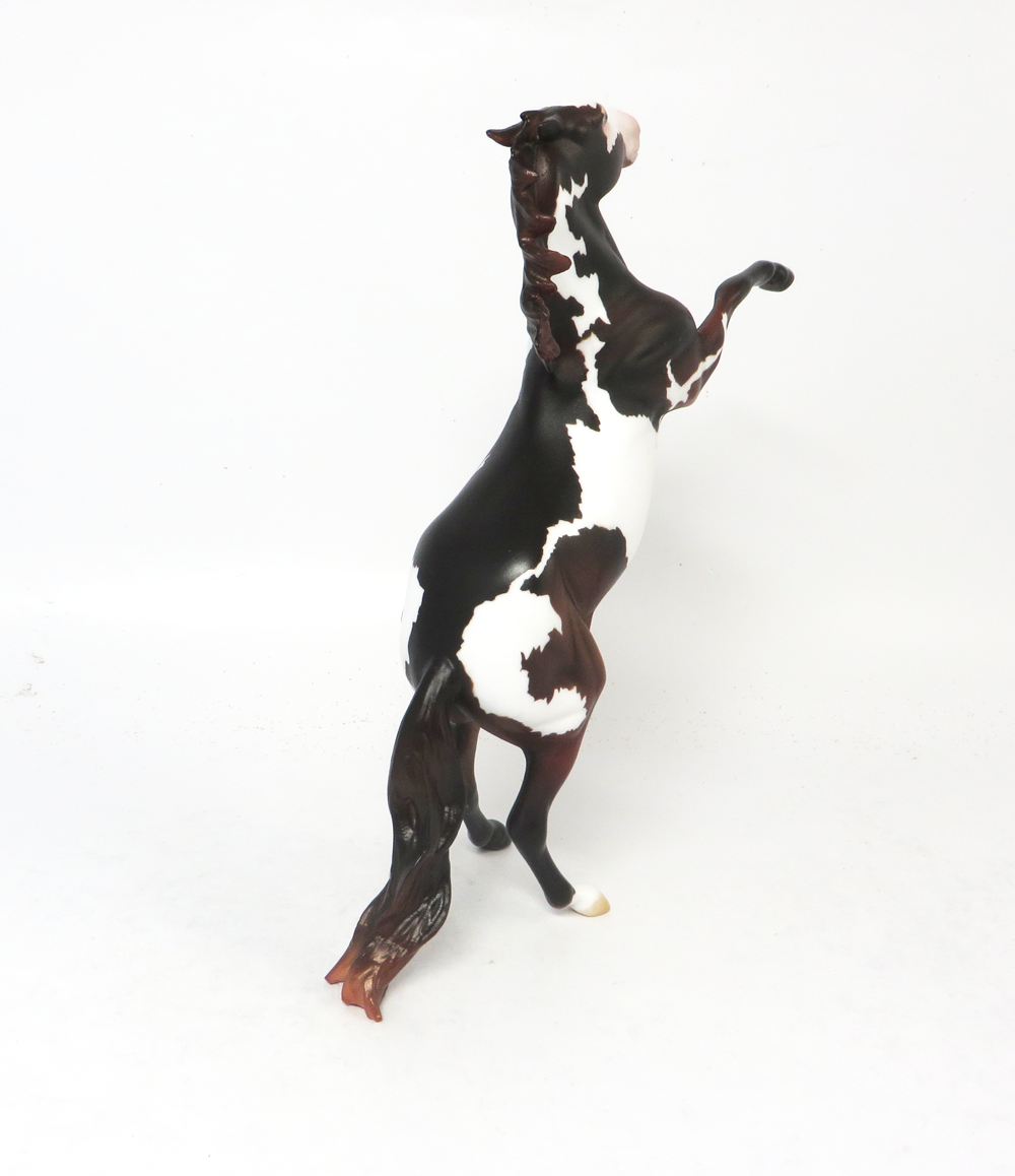 OFFSIDE - OOAK SEAL BAY OVERO REARING PEBBLE BY AMANDA HOSTELER SB19