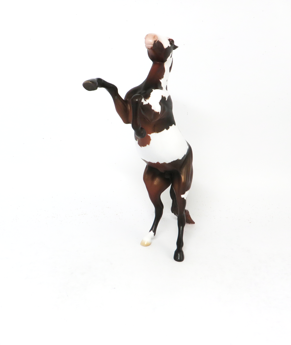 OFFSIDE - OOAK SEAL BAY OVERO REARING PEBBLE BY AMANDA HOSTELER SB19