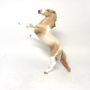 ALL SEASON-OOAK- CHAMPAGNE PINTO REARING PEBBLE MODEL HORSE BY AMANDA SB19