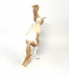 ALL SEASON-OOAK- CHAMPAGNE PINTO REARING PEBBLE MODEL HORSE BY AMANDA SB19