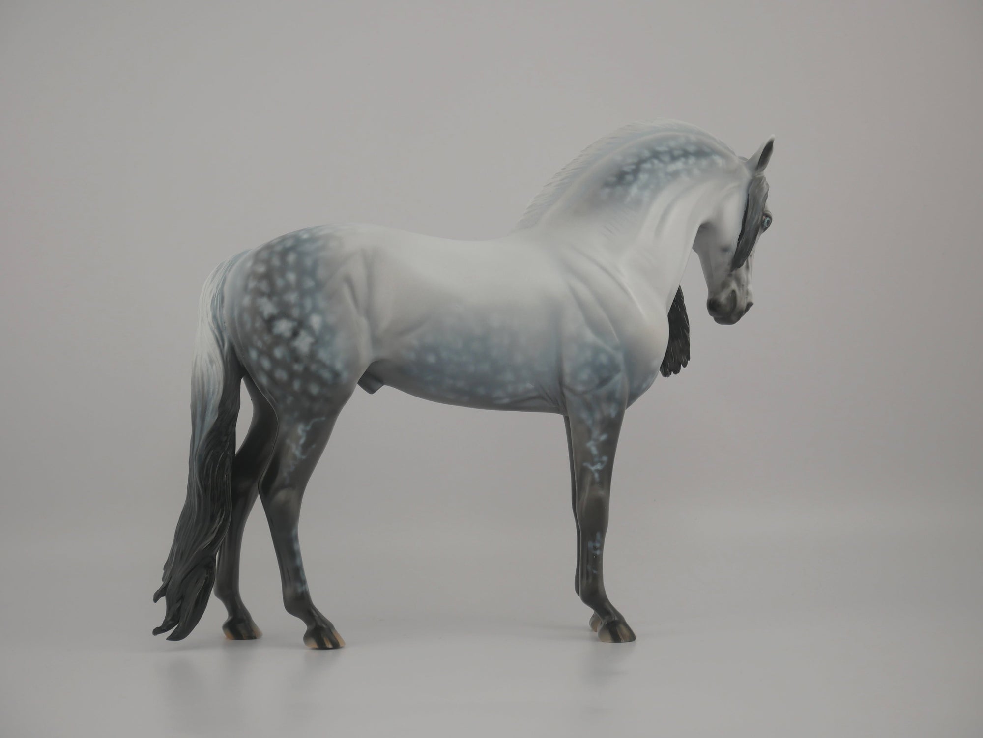 Orion-LE-72 Andalusion Art of The Horse Finalist Lois Rose EQ 2020