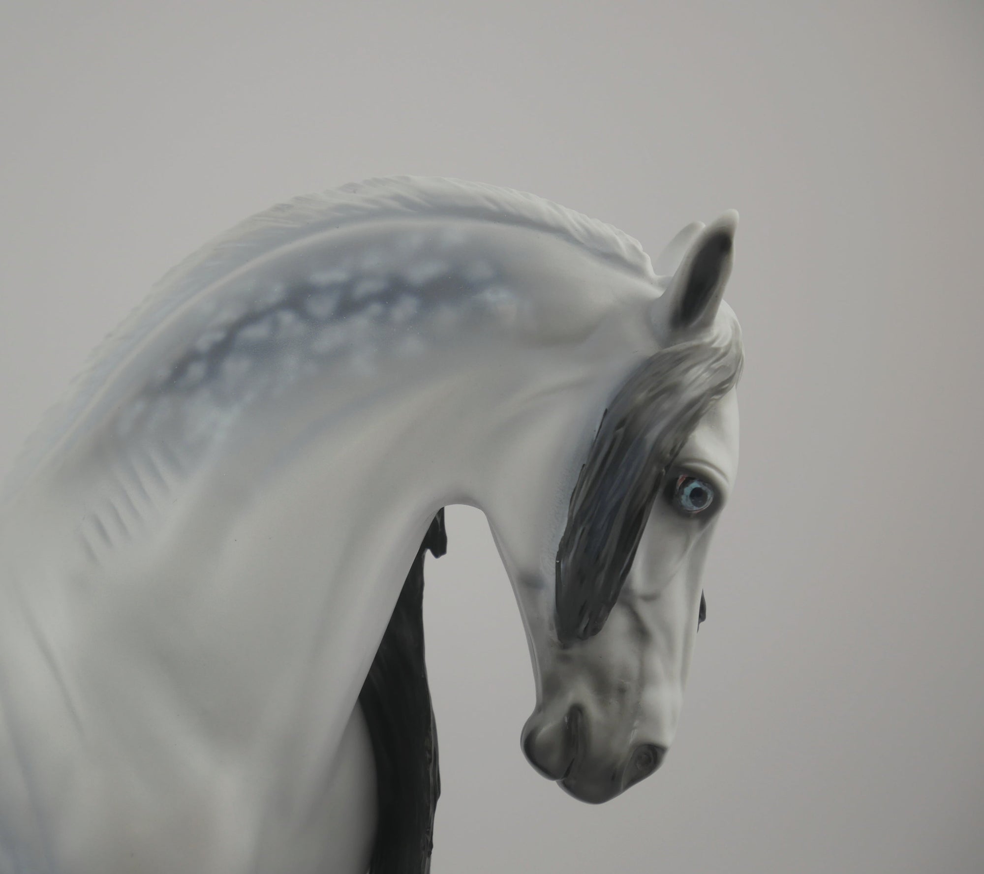 Orion-LE-72 Andalusion Art of The Horse Finalist Lois Rose EQ 2020