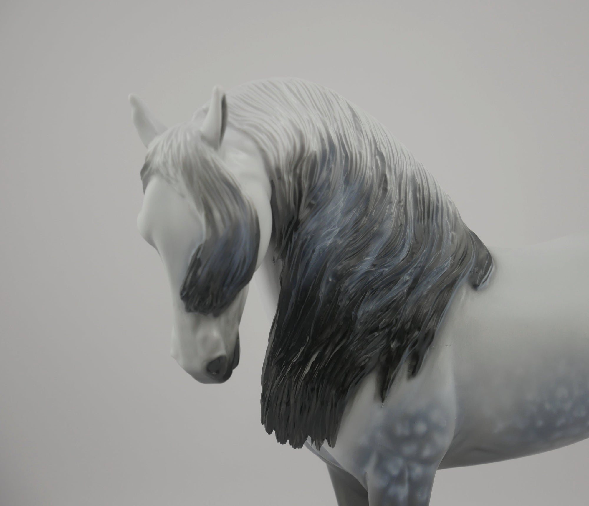 Orion-LE-72 Andalusion Art of The Horse Finalist Lois Rose EQ 2020