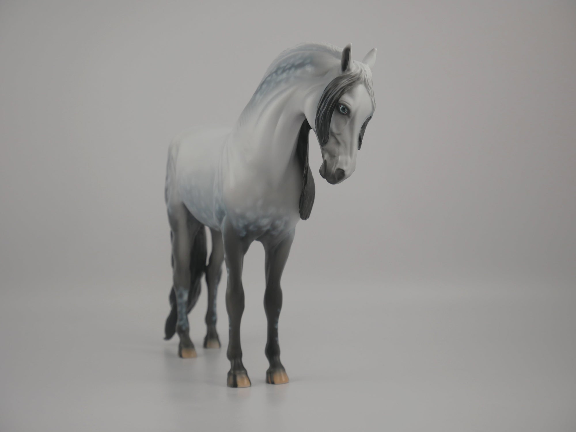 Orion-LE-72 Andalusion Art of The Horse Finalist Lois Rose EQ 2020