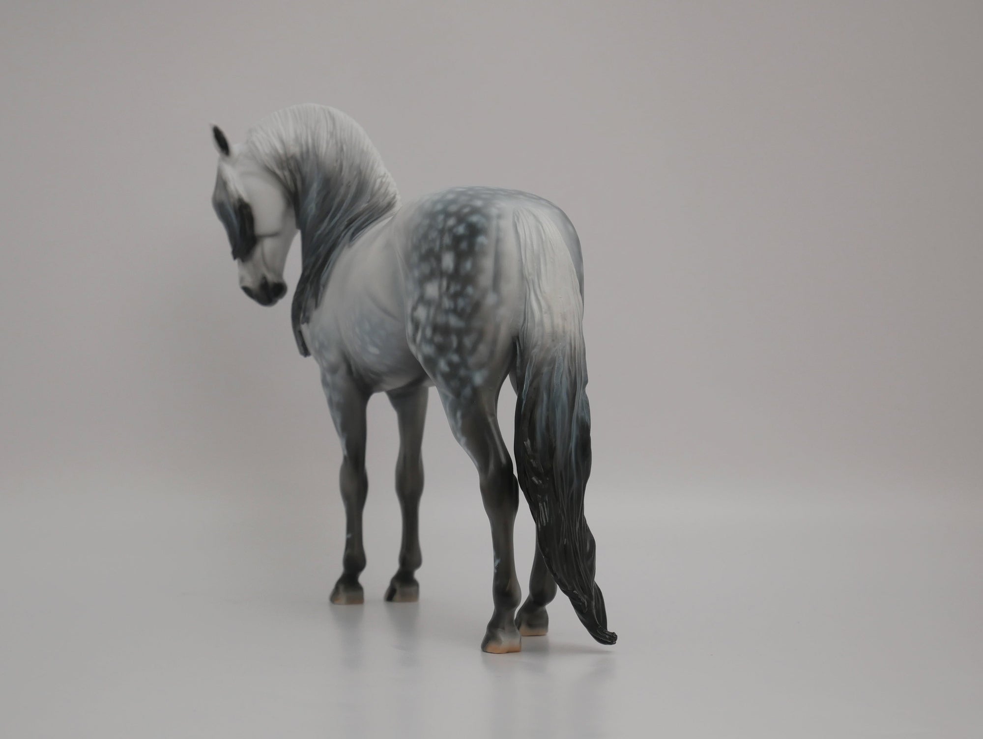 Orion-LE-72 Andalusion Art of The Horse Finalist Lois Rose EQ 2020