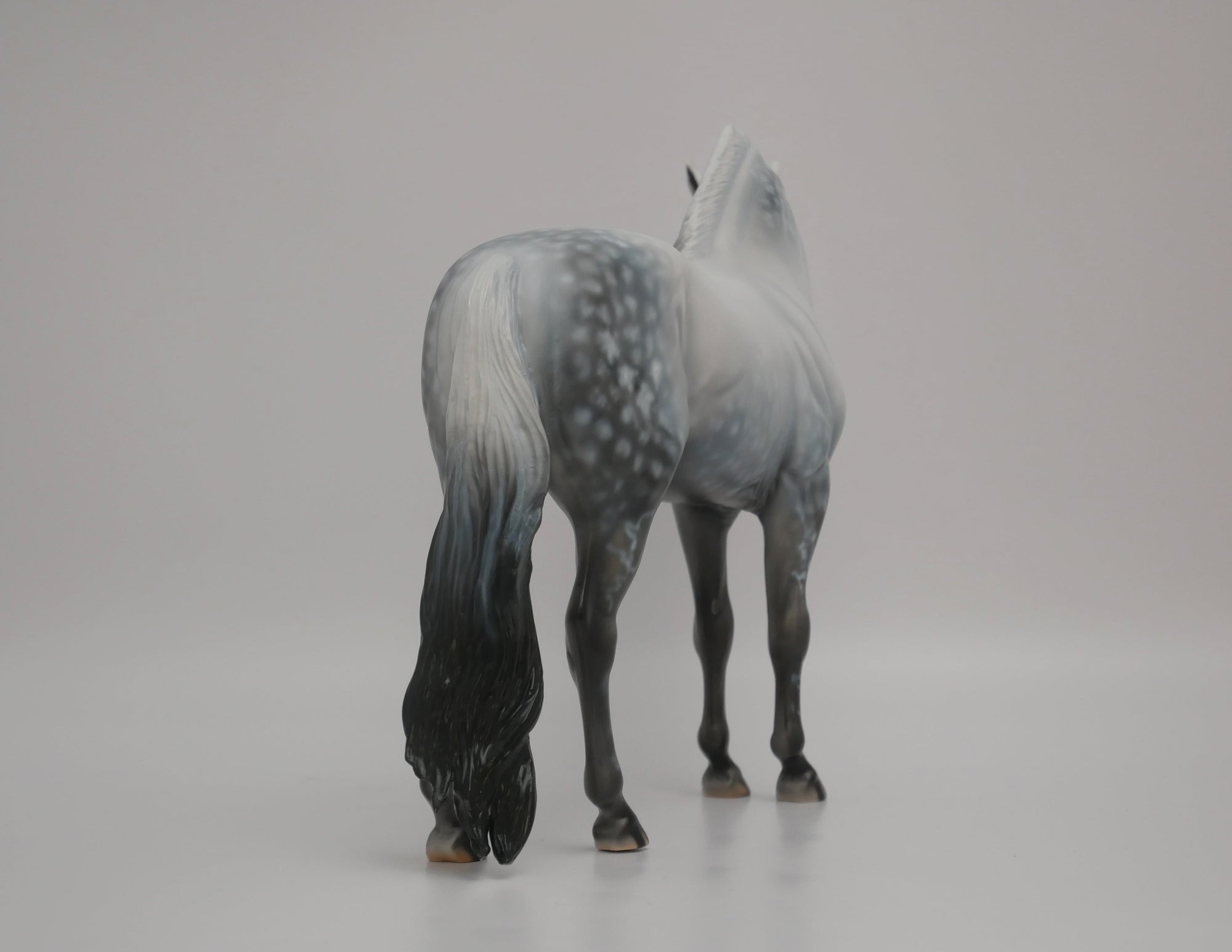 Orion-LE-72 Andalusion Art of The Horse Finalist Lois Rose EQ 2020