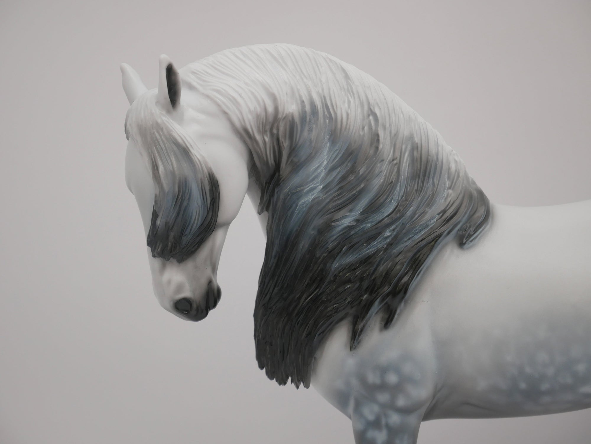 Orion-LE-72 Andalusion Art of The Horse Finalist Lois Rose EQ 2020