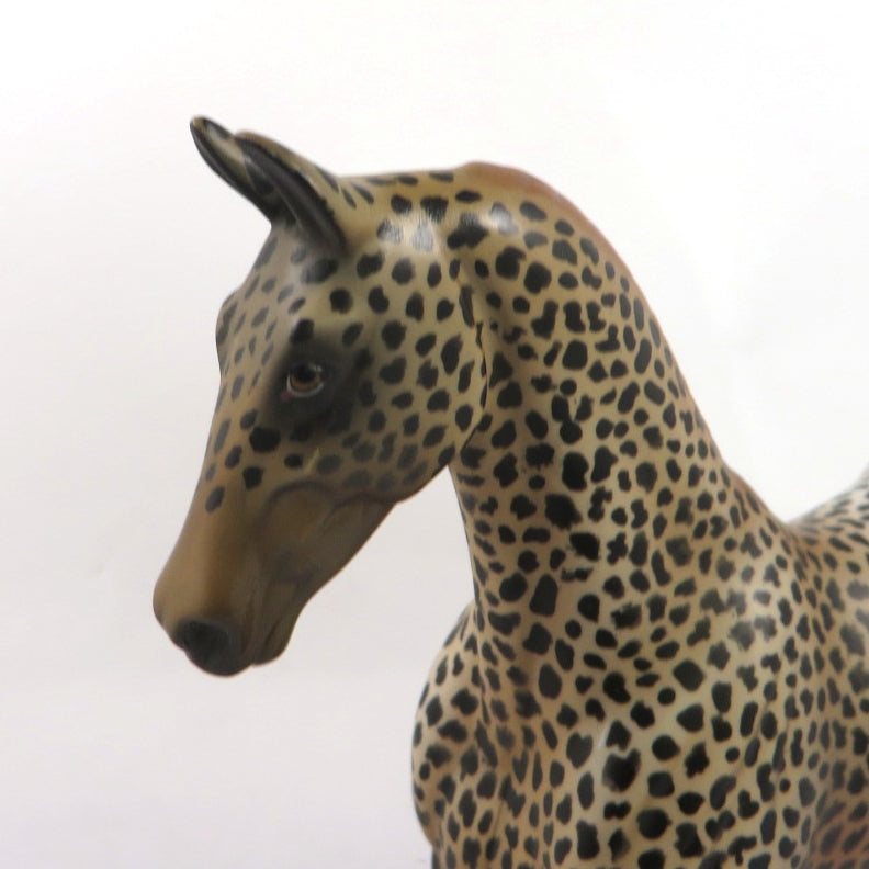 OUT OF BOUNDS - OOAK LEOPARD APPY SADDLEBRED PEBBLE  BY AL KATT SB 20