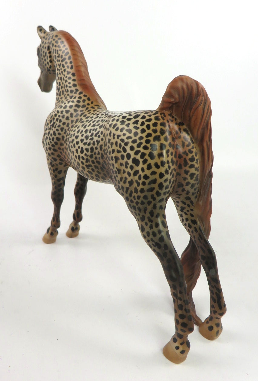 OUT OF BOUNDS - OOAK LEOPARD APPY SADDLEBRED PEBBLE  BY AL KATT SB 20