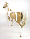 OUTTA SIGHT-OOAK DAPPLE PALOMINO PINTO ARABIAN MODEL HORSE 2/12/20