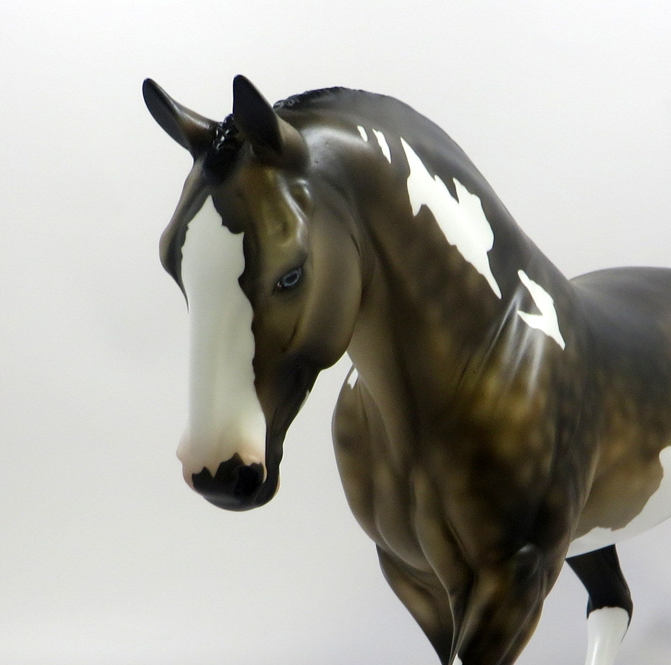 OXFORD - OOAK - DAPPLED SOOTY BUCKSKIN IRISH DRAFT MODEL HORSE EQ 2019