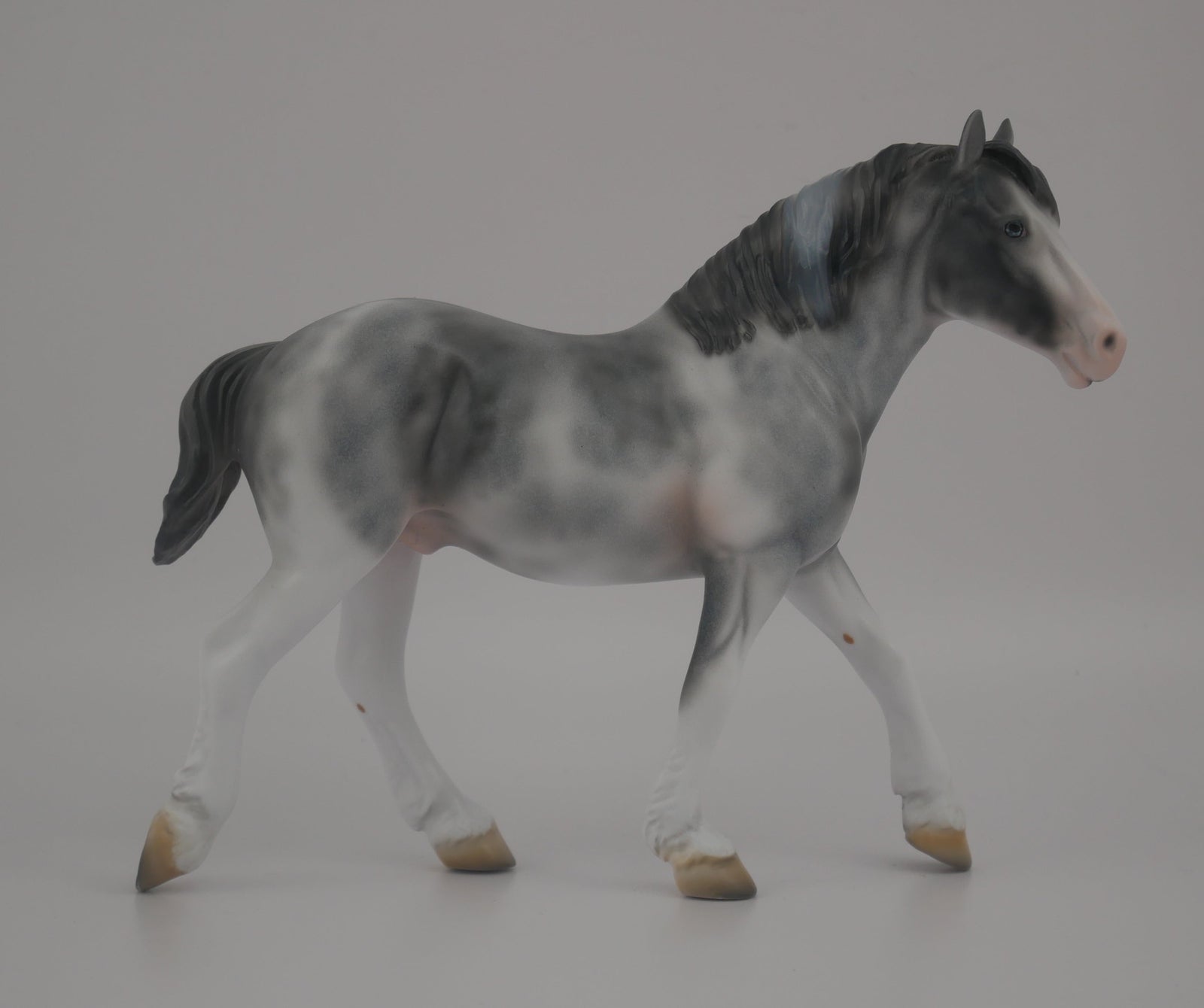 MINI PICASSO PEBBLE-LE-20-BLUE ROAN SABINO DRAFT PEBBLES EQ 2020