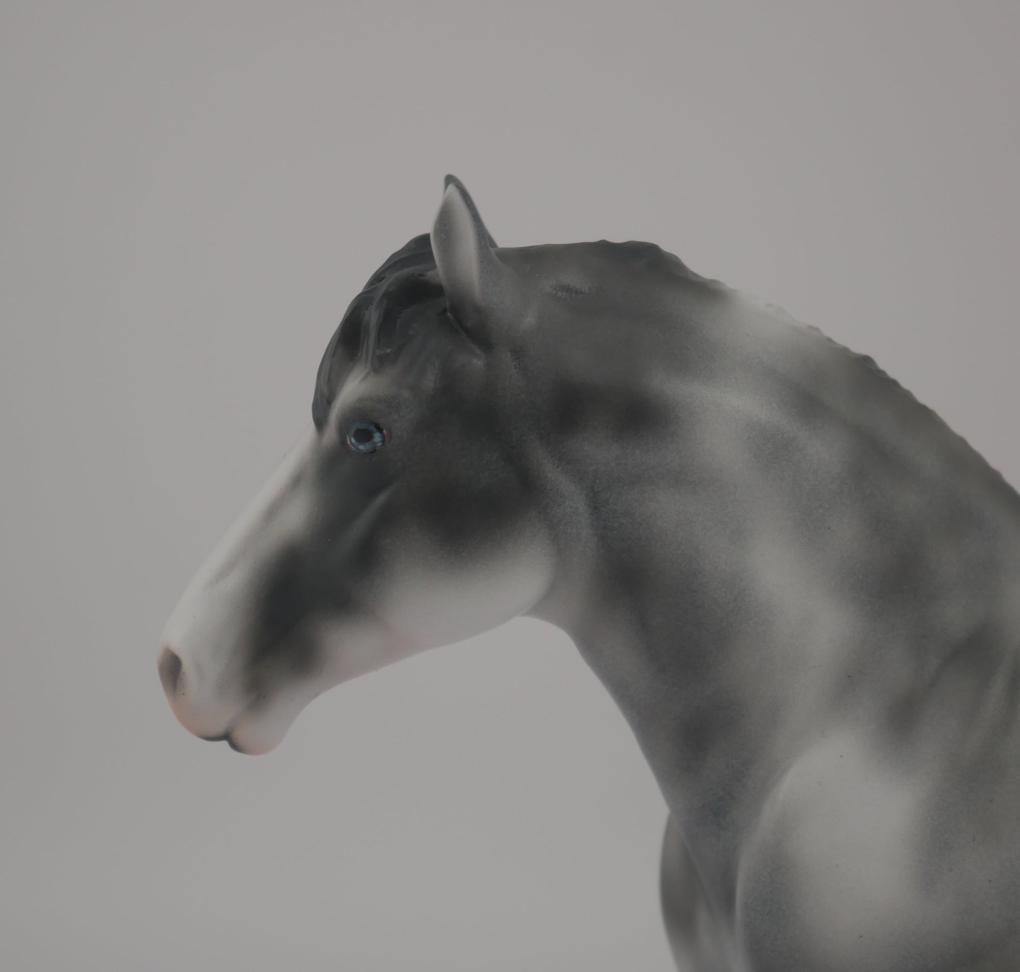 MINI PICASSO PEBBLE-LE-20-BLUE ROAN SABINO DRAFT PEBBLES EQ 2020