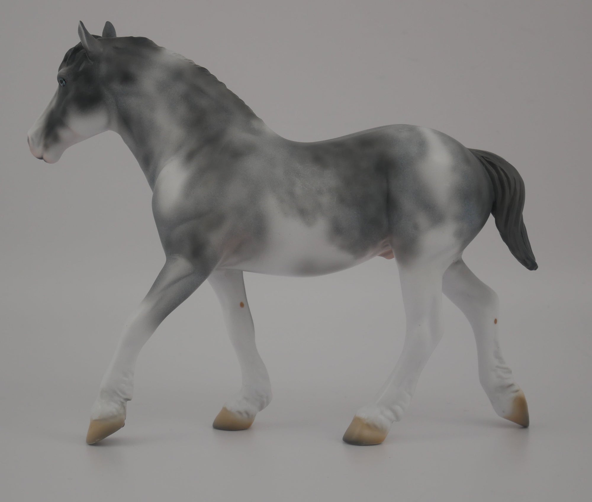 MINI PICASSO PEBBLE-LE-20-BLUE ROAN SABINO DRAFT PEBBLES EQ 2020