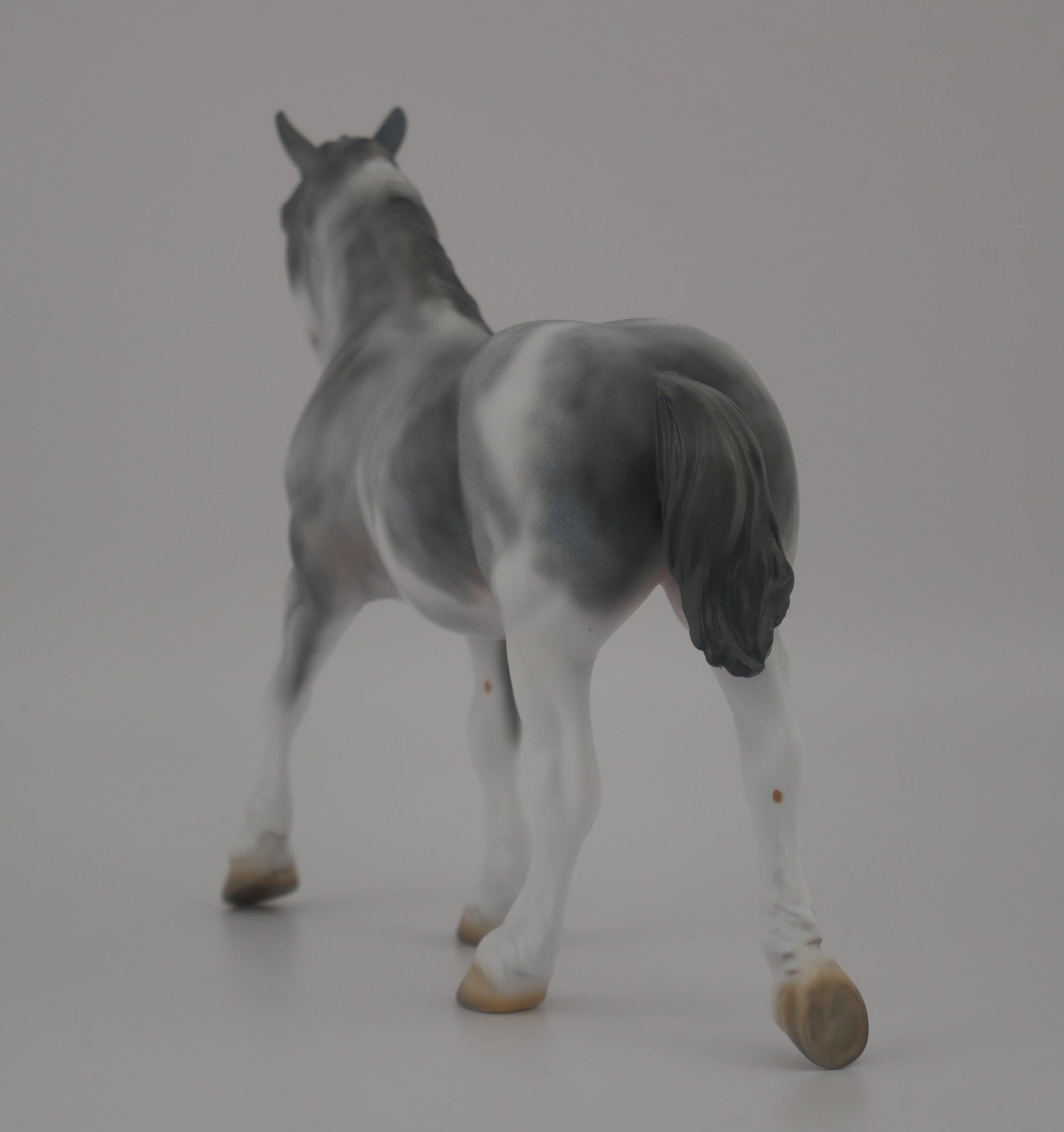 MINI PICASSO PEBBLE-LE-20-BLUE ROAN SABINO DRAFT PEBBLES EQ 2020
