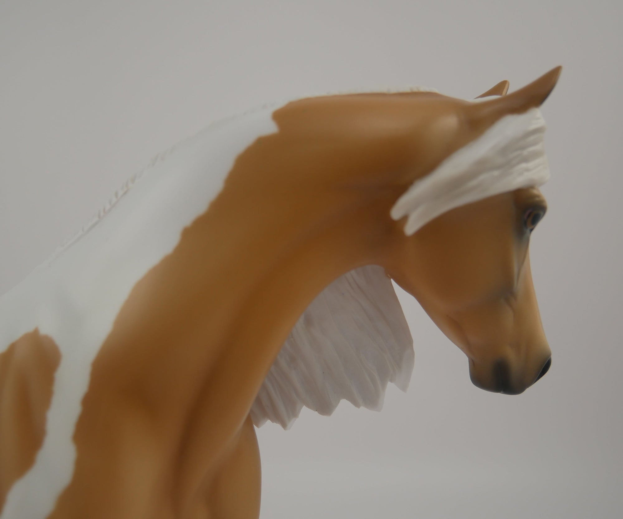 My Cincoteaque Pony-LE-? Art of the Horse Finalist Kris Gallagher EQ 2020