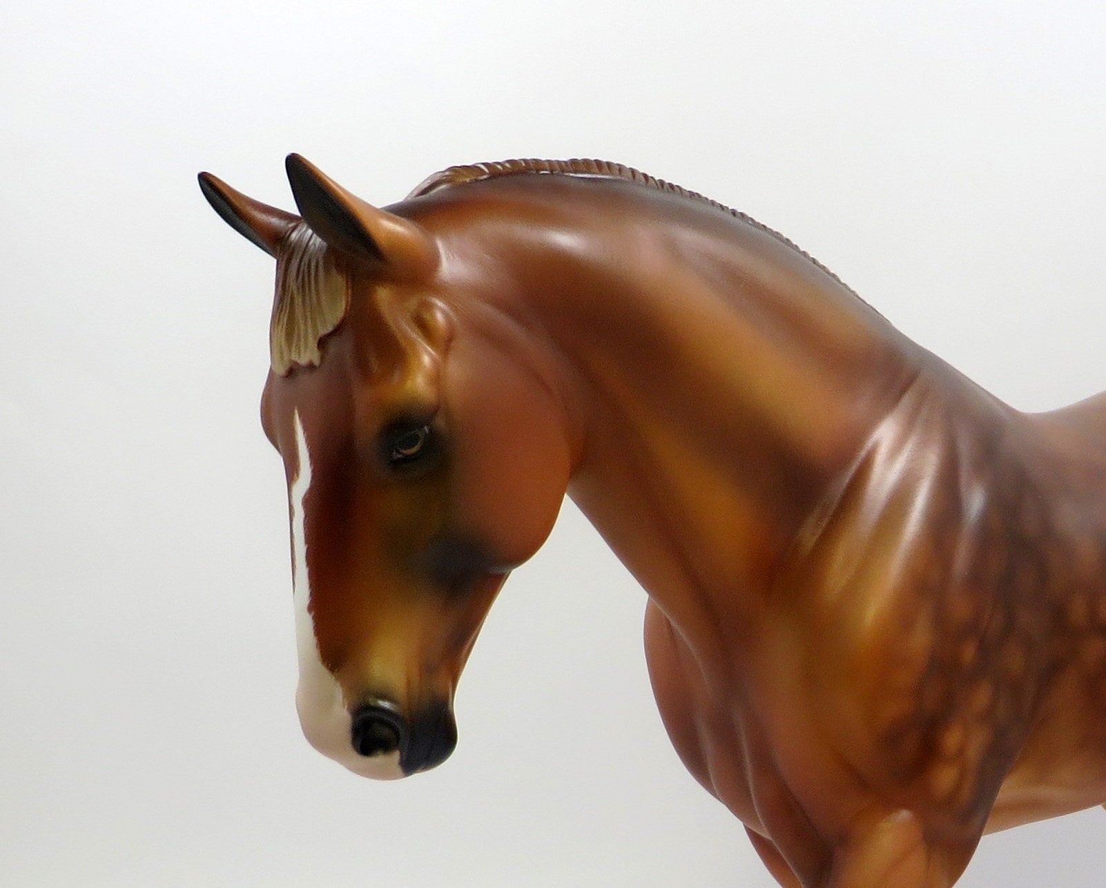 DUKEDOM - OOAK - DAPPLED CHESTNUT IRISH DRAFT MODEL HORSE EQ 2019