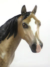 PANGWANGLE-OOAK DAPPLE BUCKSKIN ISH MODEL HORSE 2/6/20