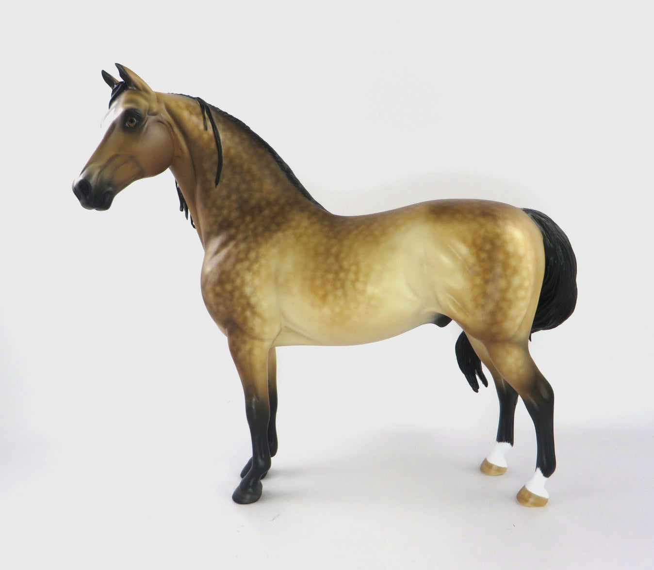 PARKER -OOAK BUCKSKIN MORGAN BY SHERYL LEISURE WHS19