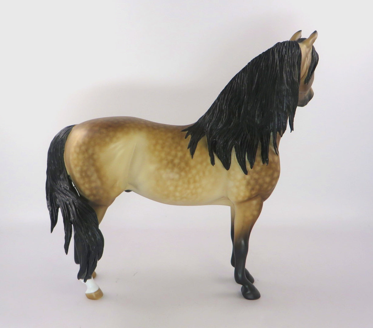 PARKER -OOAK BUCKSKIN MORGAN BY SHERYL LEISURE WHS19