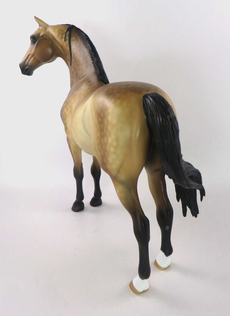 PARKER -OOAK BUCKSKIN MORGAN BY SHERYL LEISURE WHS19