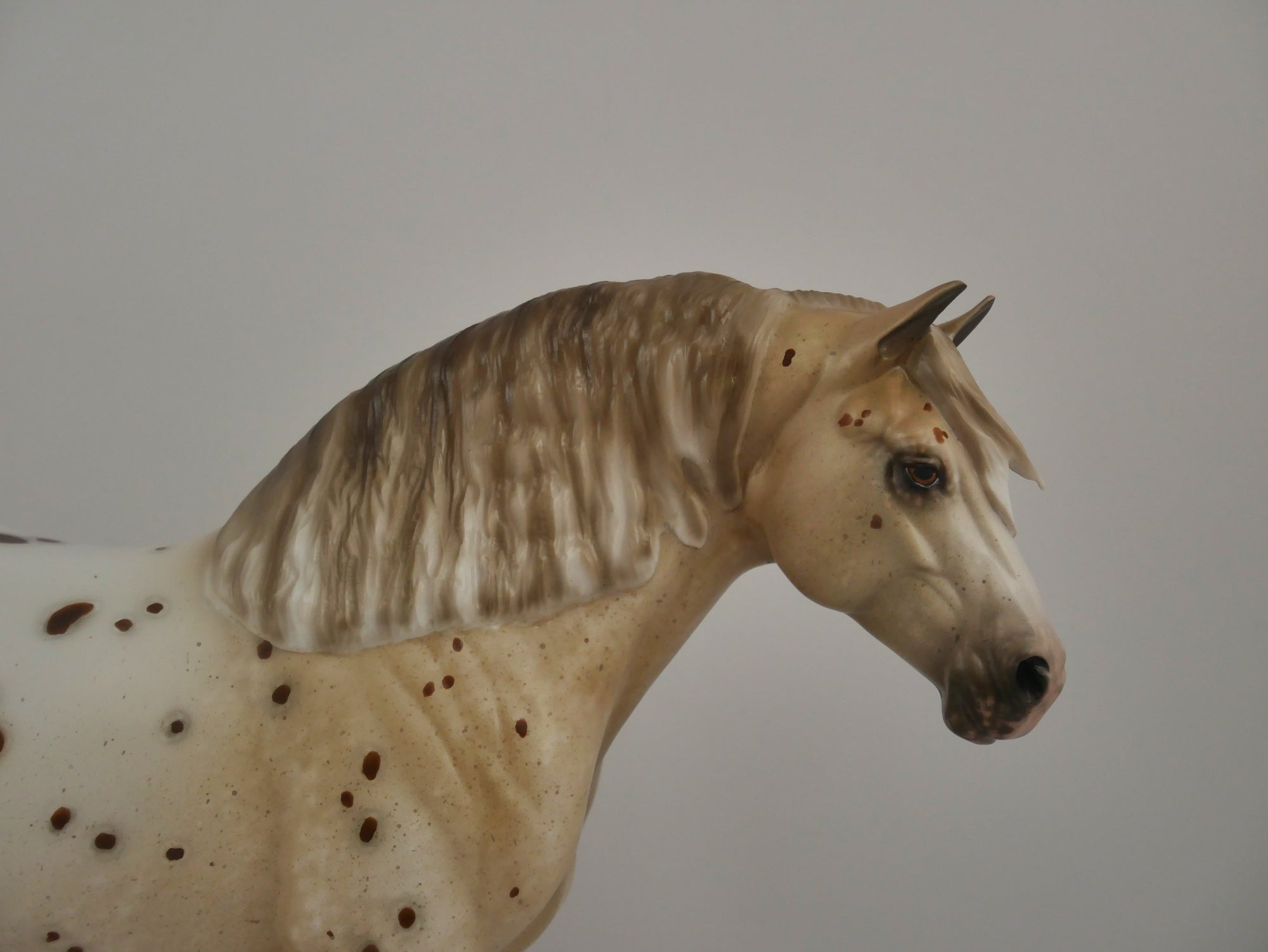 PASTEL-OOAK APPALOOSA HEAVY DRAFT MARE BY SHERYL LEISURE
