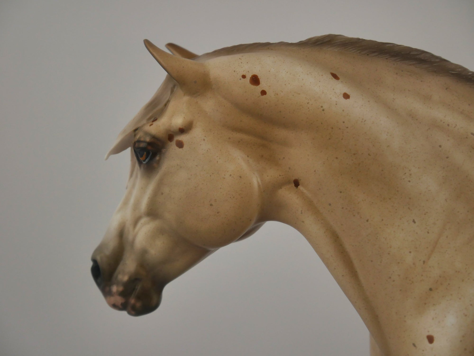 PASTEL-OOAK APPALOOSA HEAVY DRAFT MARE BY SHERYL LEISURE